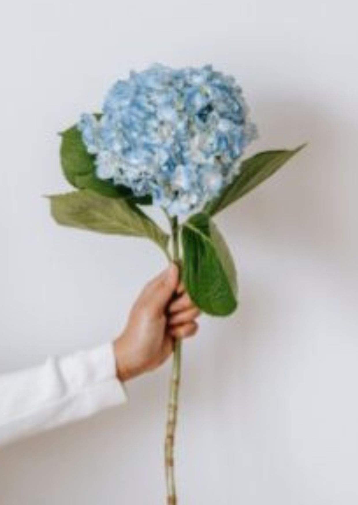 صورة تجريبية 8