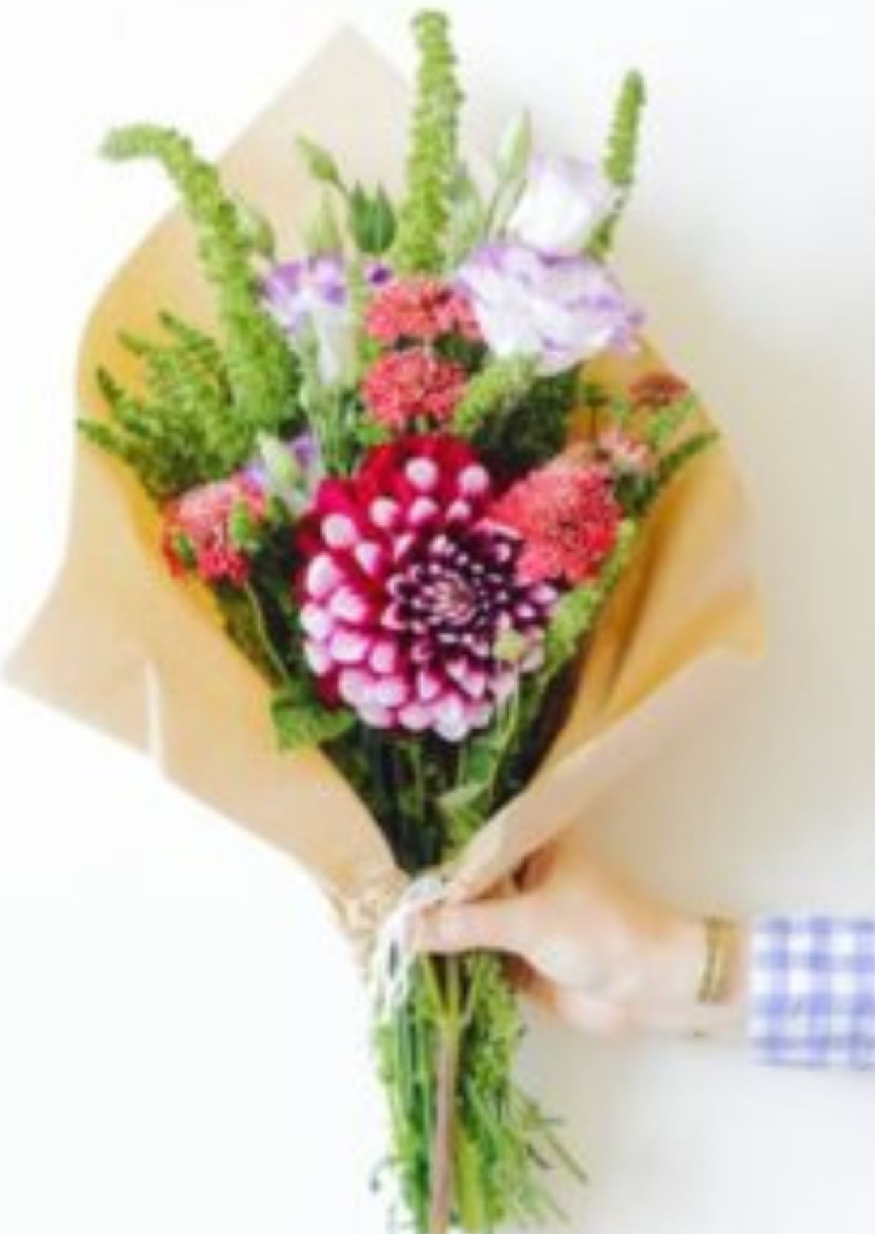 صورة تجريبية 6