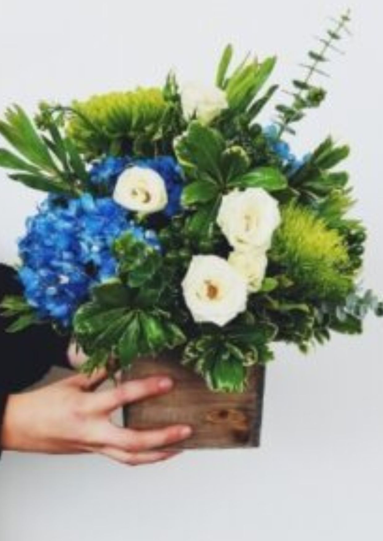 صورة تجريبية 5