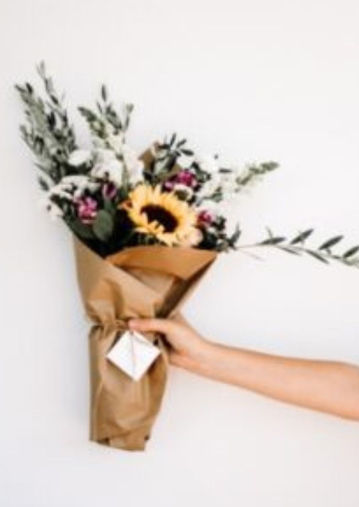 صورة تجريبية 4