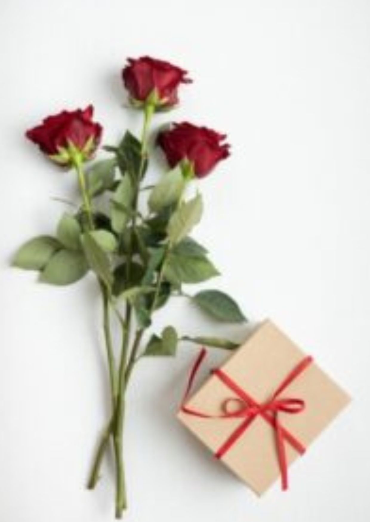 صورة تجريبية 3