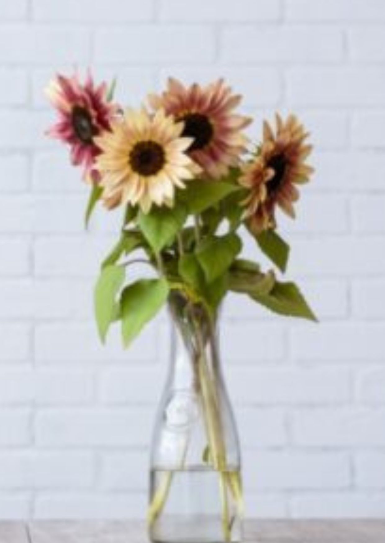 صورة تجريبية 2