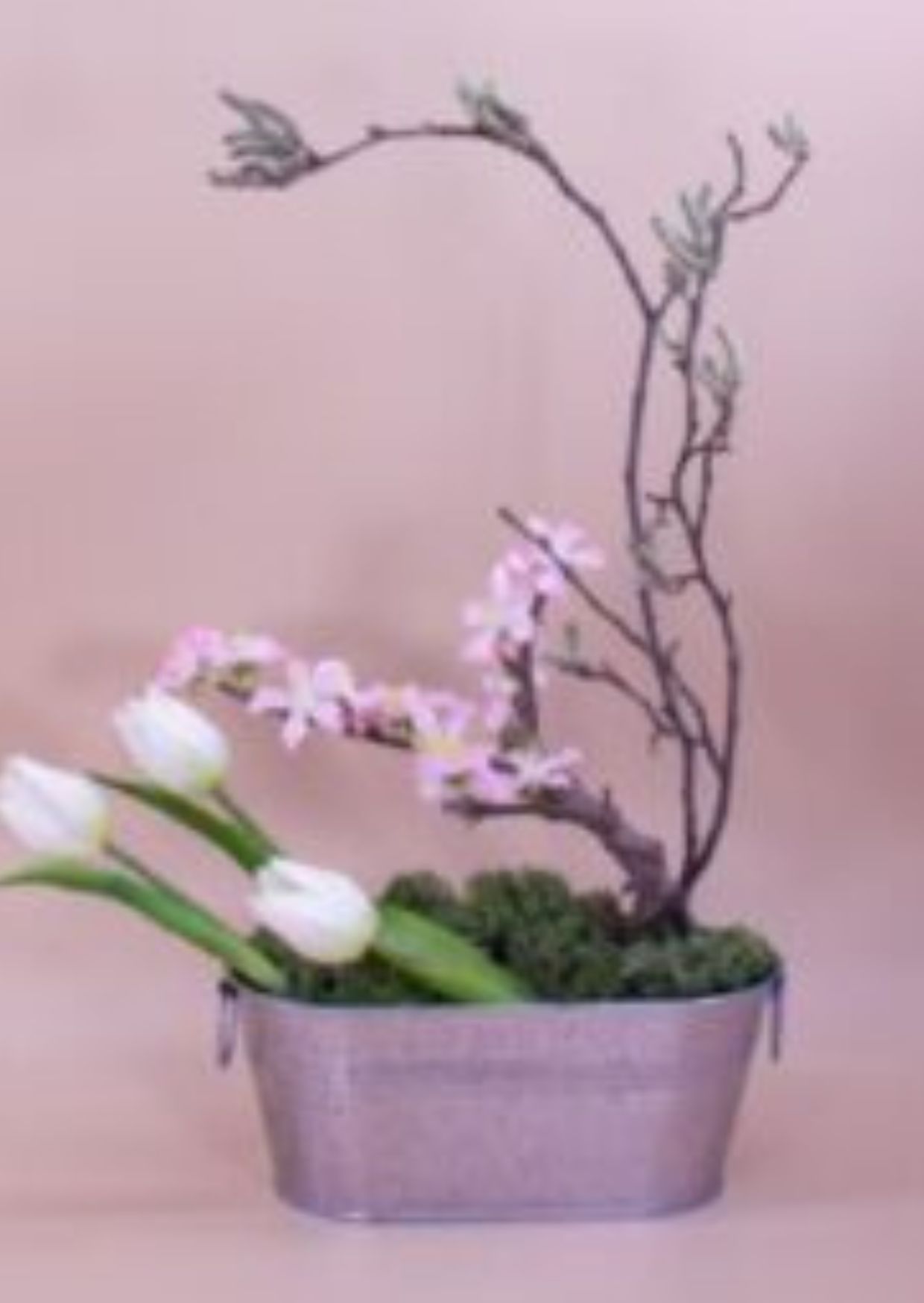 صورة تجريبية 1