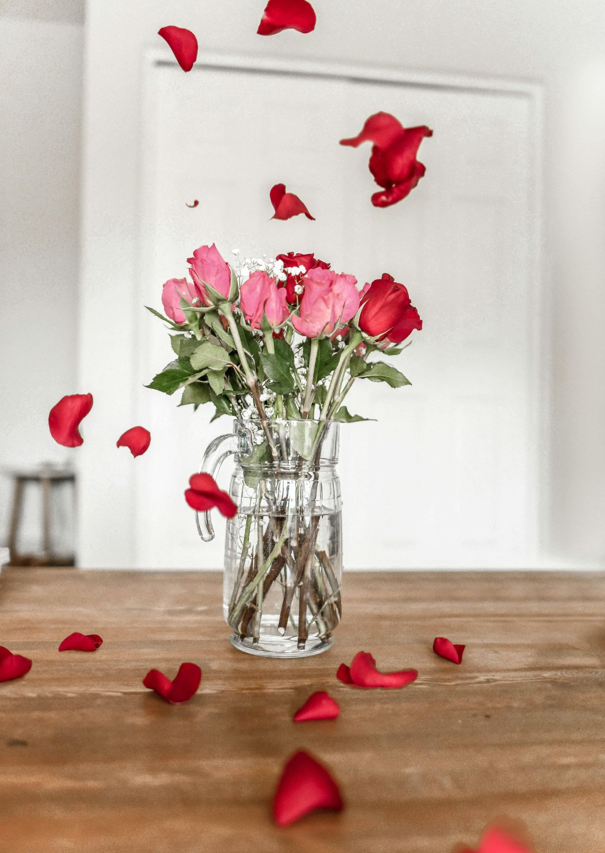 صورة تجريبية 16