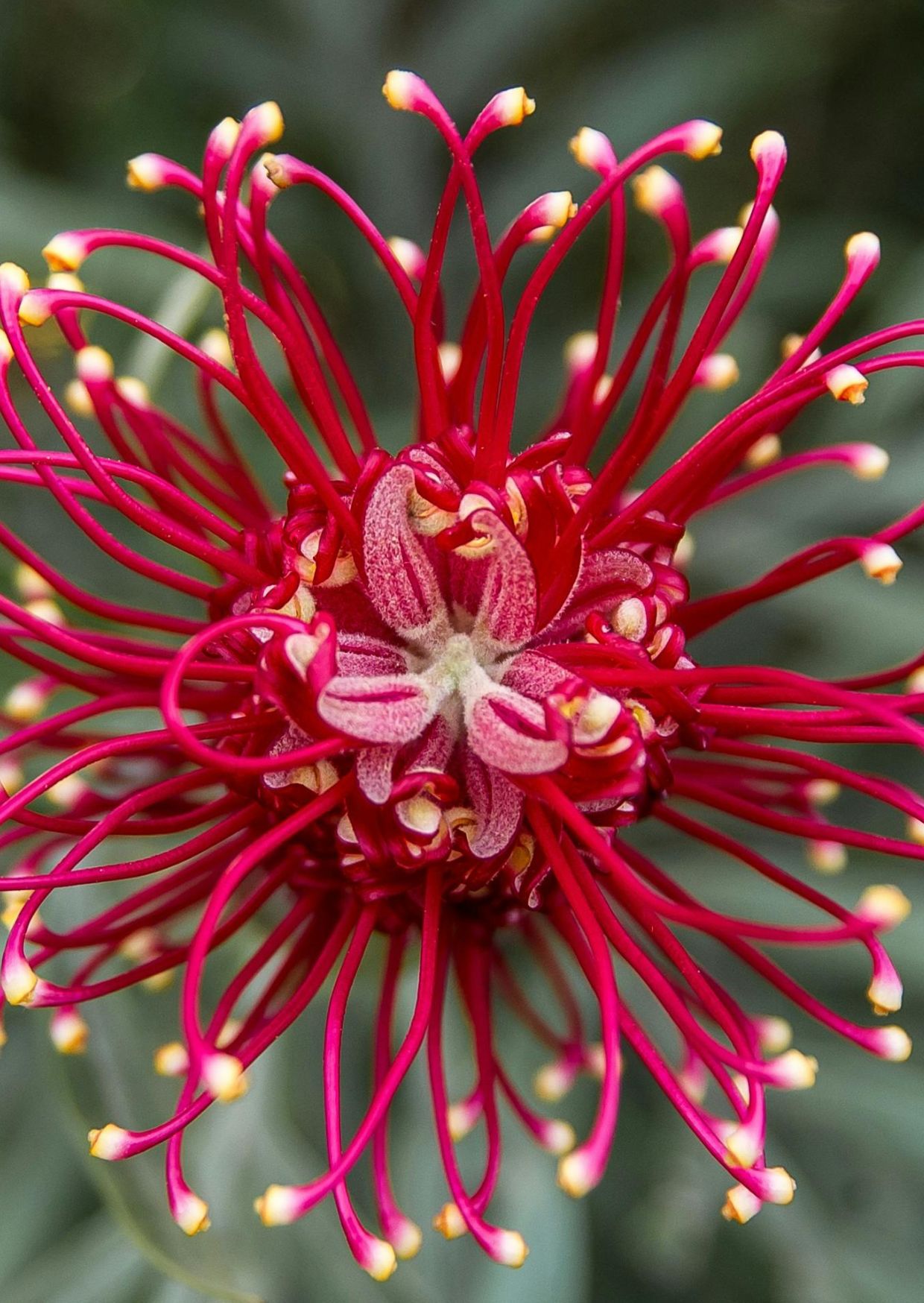 صورة تجريبية 14