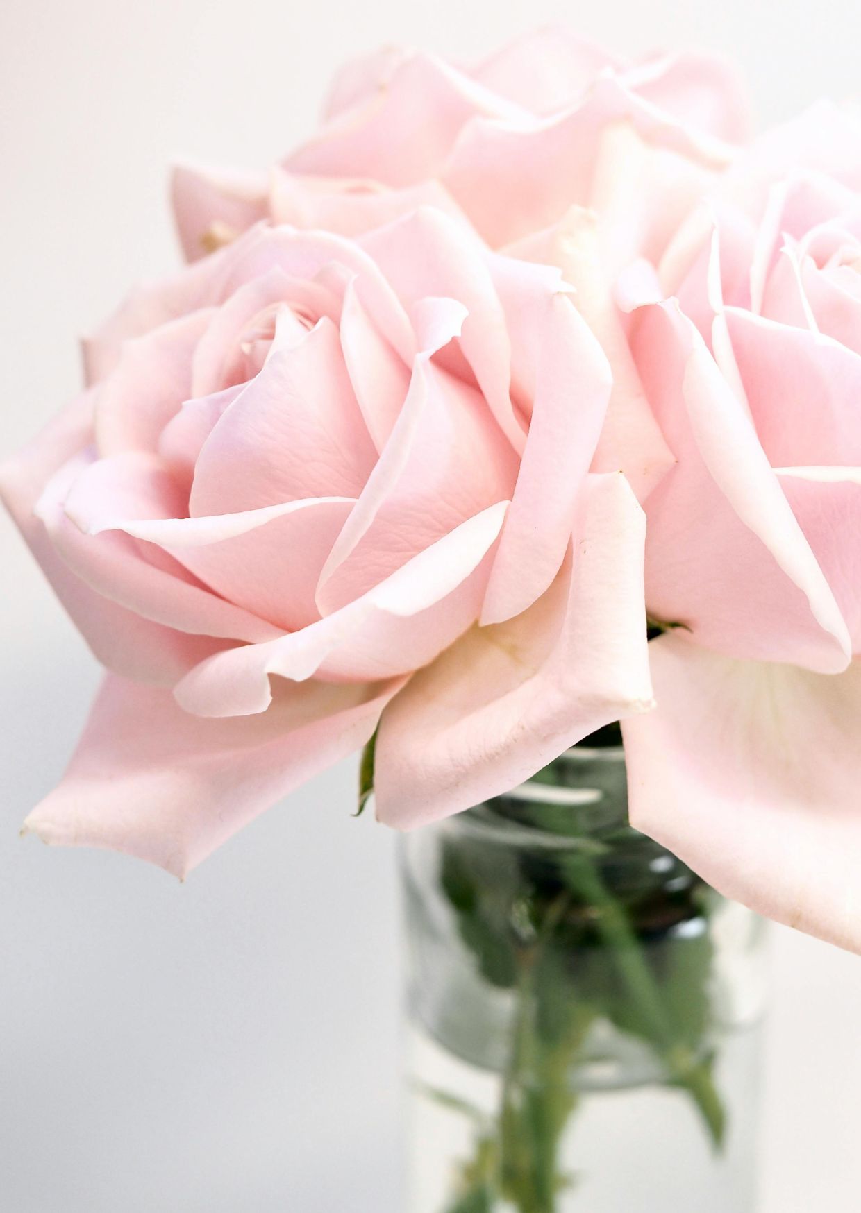 صورة تجريبية 12