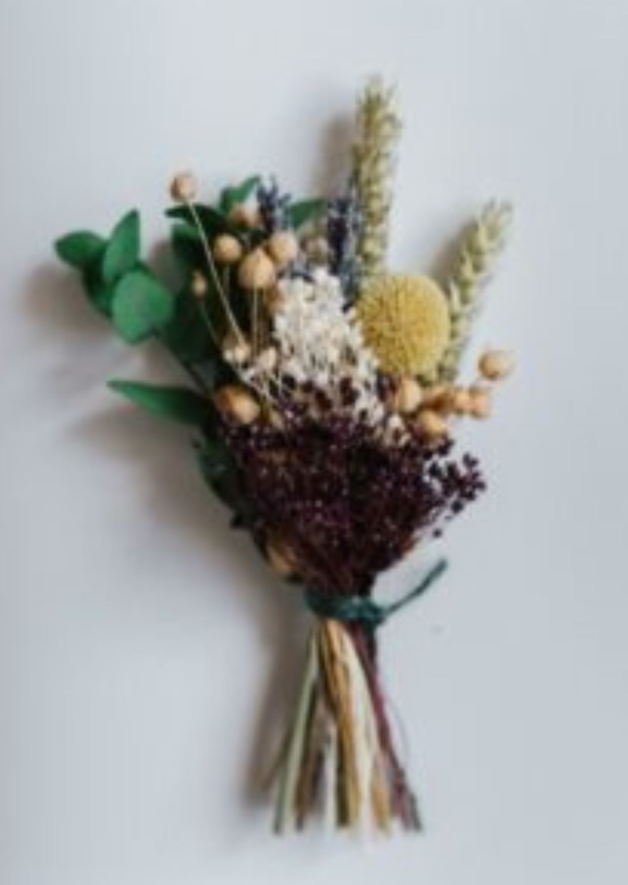 صورة تجريبية 9